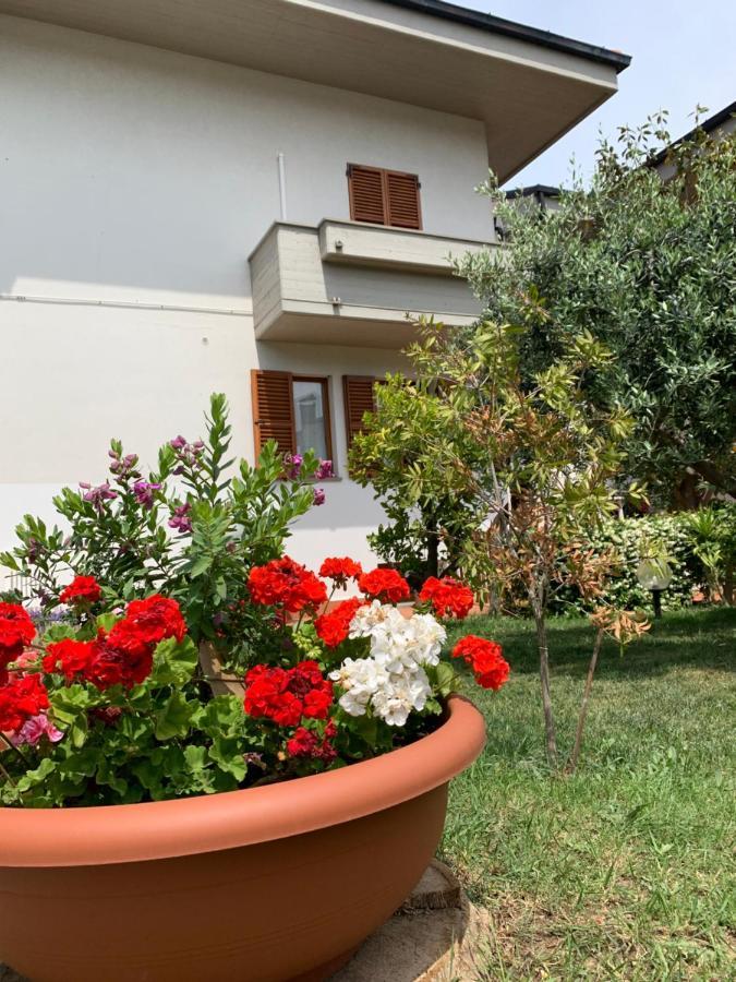 Brezza Affittacamere Montemarciano Dış mekan fotoğraf