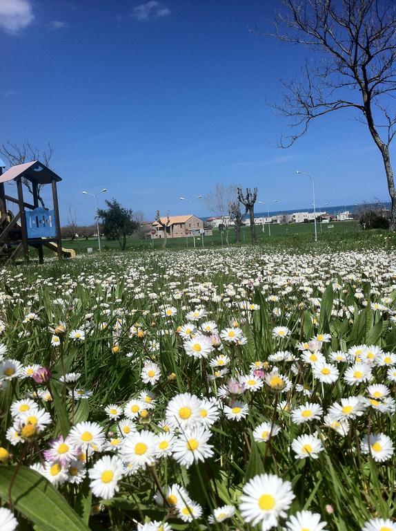 Brezza Affittacamere Montemarciano Dış mekan fotoğraf